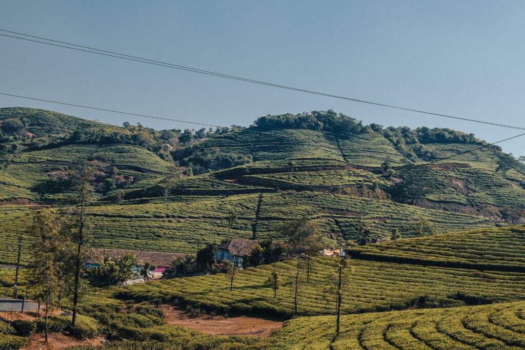 Kerala Packages